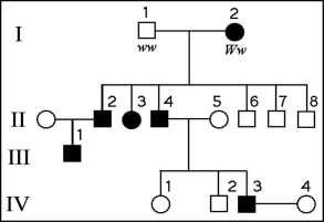 The following questions refer to the pedigree chart in Figure 11.2 for a family, some of whose members exhibit the dominant trait, W. Affected individuals are indicated by a dark square or circle.    Figure 11.2 -What is the likelihood that the progeny of IV-3 and IV-4 will have the trait? A)  0% B)  25% C)  50% D)  75% E)  100%