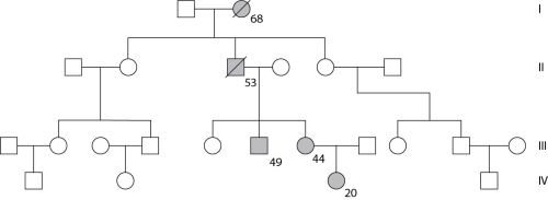 Use the following pedigree (Figure 11.3)  for a family in which dark-shaded symbols represent individuals with one of the two major types of colon cancer. Numbers under the symbols are the individual's age at the time of diagnosis.    Figure 11.3 -The affected woman in generation IV is thinking about her future and asks her oncologist (cancer specialist)  whether she can know whether any or all of her children will have a high risk of the same cancer. The doctor would be expected to advise which of the following? I. genetic counseling II)  prenatal diagnosis when/if she becomes pregnant III)  testing to see whether she has the allele IV)  testing to see whether her future spouse or partner has the allele A)  I only B)  II only C)  I, II, and IV only D)  I, II, and III only E)  III and IV only