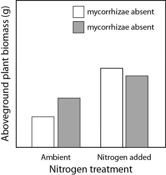 Please use the following information to answer the question(s)  below. A scientist conducts an experiment to quantify the effect of mycorrhizae and soil nitrogen levels on plant growth in a grassland. The experiment has four treatments: (1)  Mycorrhizae present and ambient levels of nitrogen, (2)  mycorrhizae present and nitrogen added, (3)  mycorrhizae absent and ambient levels of nitrogen, and (3)  mycorrhizae absent and nitrogen added. After four weeks, the scientist removes the aboveground plant material for weighing.   Figure 42.4. -What is the dependent variable in the experiment shown in Figure 42.4? A)  net primary productivity B)  gross primary productivity C)  net secondary productivity D)  standing crop
