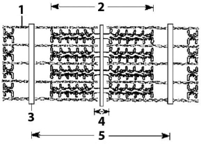   Figure 39.1 -The structure pictured in Figure 39.1 is found in A)  skeletal muscles and smooth muscles only. B)  cardiac muscles and skeletal muscles only. C)  smooth muscles and cardiac muscles only. D)  smooth muscles, skeletal muscles, and cardiac muscles. E)  smooth muscles only.