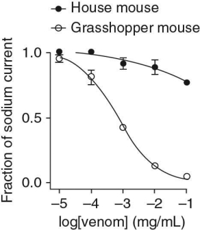 Researchers injected bark scorpion venom in mouse neurons (both a common house mouse and the southern grasshopper mouse)  and measured the flow of sodium ions across the cell membrane. Their data is shown below.   Based on these data, what effect do you think the venom is having on the grasshopper mouse? A)  The venom is blocking voltage-gated sodium channels. B)  The venom is blocking voltage-gated potassium channels. C)  The venom is opening voltage-gated sodium channels. D)  The venom is opening voltage-gated potassium channels.