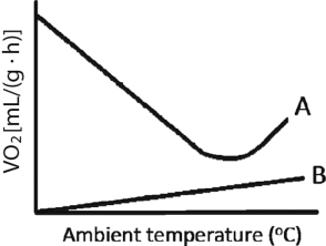 Researchers measure animals' oxygen consumption (VO₂)  as a way to quantify metabolic rate. A researcher measured the VO₂ for two animals, A and B, as function of ambient temperature and collected the data shown in Figure 32.2 below. One of the animals was an ectotherm and one was an endotherm. Which animal was the endotherm and why?   A)  Animal A is the endotherm because at colder temperatures endotherms need to warm themselves through their own metabolic activity, which is supported by the data. B)  Animal A is the endotherm because endotherms do not need to regulate their own body temperature by changing metabolic activity, which is supported by the data. C)  Animal B is the endotherm because at colder temperatures endotherms need to warm themselves through their own metabolic activity, which is supported by the data. D)  Animal B is the endotherm because endotherms do not need to regulate their own body temperature by changing metabolic activity, which is supported by the data.