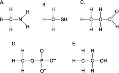   Figure 3.6 -Which molecule shown in Figure 3.6 contains an amino functional group, but is not an amino acid? A)  A B)  B C)  C D)  D E)  E
