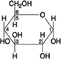   Figure 3.7 -  Figure 3.8 Which of the following statements regarding the molecule illustrated in Figure 3.8 is true? A)  It is a saturated fatty acid. B)  It is an entirely nonpolar molecule. C)  Molecules of this type are usually liquid at room temperature. D)  It would be highly soluble in water.