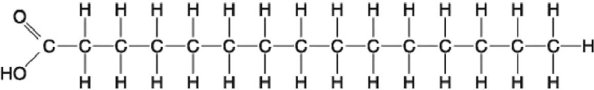  Figure 3.7 -  Figure 3.8 Which of the following statements regarding the molecule illustrated in Figure 3.8 is true? A)  It is a saturated fatty acid. B)  It is an entirely nonpolar molecule. C)  Molecules of this type are usually liquid at room temperature. D)  It would be highly soluble in water.