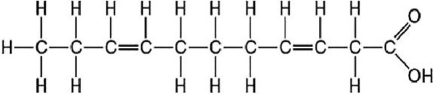  Figure 3.9 -  Figure 3.10 What is the structure shown in Figure 3.10? A)  fatty acid molecule B)  steroid molecule C)  triacylglycerol molecule D)  phospholipid molecule