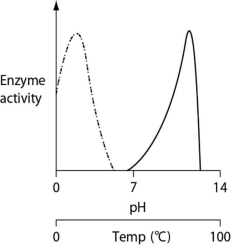 Thermoacidophiles are archaeans that are able to successfully live and reproduce in environments that are acidic, have high sulfur content and temperatures, and have little organic material. Consider the thermoacidophile Sulfolobus acidocaldarius. Which of the following graphs most accurately depicts the expected temperature and pH profiles of its enzymes? (Note: The horizontal axes of these graphs are double, with pH above and temperature below.)    A)    B)    C)    D)   
