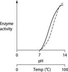 Thermoacidophiles are archaeans that are able to successfully live and reproduce in environments that are acidic, have high sulfur content and temperatures, and have little organic material. Consider the thermoacidophile Sulfolobus acidocaldarius. Which of the following graphs most accurately depicts the expected temperature and pH profiles of its enzymes? (Note: The horizontal axes of these graphs are double, with pH above and temperature below.)    A)    B)    C)    D)   