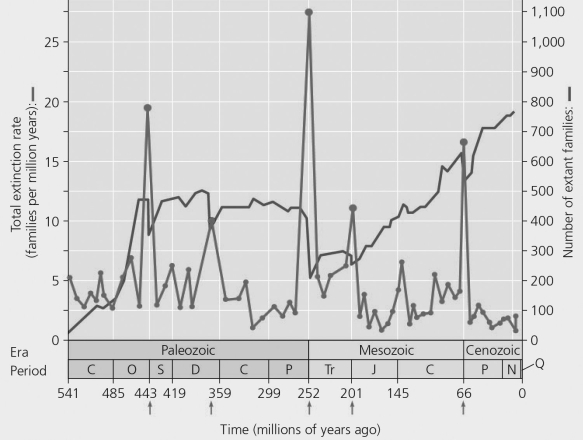   Figure 23.3 -  Figure 23.5 Which period had the greatest rate of extinction? A)  Permian B)  Cretaceous C)  Devonian D)  Cambrian