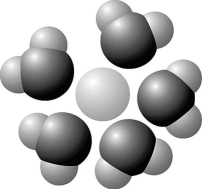   Figure 2.6 -  Figure 2.7 Based on your knowledge of the polarity of water molecules, the solute molecule depicted in Figure 2.7 is most likely A)  positively charged. B)  negatively charged. C)  without charge. D)  hydrophobic. E)  nonpolar.