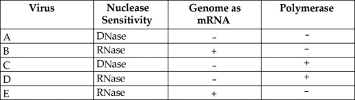 Please use the following information to answer the question(s)  below. In 1971, David Baltimore described a scheme for classifying viruses based on how the virus produces mRNA. Table 17.1 shows the results of testing five viruses (A-E)  for nuclease sensitivity , the ability of the viral genome to act as an mRNA, and the presence (+)  or absence (-)  of each virus's own polymerase.   Table 17.1 -Based on Table 17.1, which virus meets the Baltimore requirements for a retrovirus? A)  A B)  B C)  C D)  D E)  E