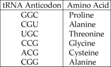 Please use the following information to answer the question(s)  below. A part of an mRNA molecule with the following sequence is being read by a ribosome: 5'-CCG-ACG-3' (mRNA) . The charged transfer RNA molecules shown in Figure 14.4 (with their anticodons shown in the 3' to 5' direction)  are available. Two of them can correctly match the mRNA so that a dipeptide can form.   Figure 14.4 -The dipeptide that will form will be A)  cysteine-alanine. B)  proline-threonine. C)  glycine-cysteine. D)  alanine-alanine. E)  threonine-glycine.