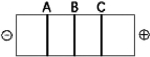 <strong> Figure 13.1 Figure 13.4 The segment of DNA shown in Figure 13.4 has restriction sites I and II, which create restriction fragments A, B, and C. Which of the gels produced by electrophoresis shown below best represents the separation and identity of these fragments?</strong> A) B) C) D) E)