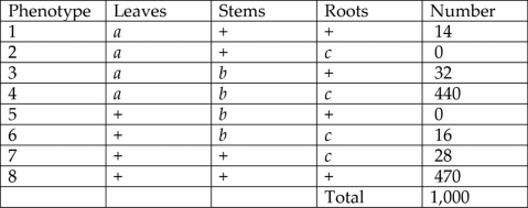 Please use the following information to answer the question(s)  below. A plantlike organism on the planet Pandora can have three recessive genetic traits: bluish leaves, due to an allele (a)  of gene A; a feathered stem, due to an allele (b)  of gene B; and hollow roots due to an allele (c)  of gene C. The three genes are linked and recombine. A geneticist did a testcross with an organism that had been found to be heterozygous for the three recessive traits and was able to identify progeny of the phenotypic distribution (+ = wild type)  shown in Figure 12.3.   Figure 12.3 -If recombination frequency is equal to distance in map units, what is the approximate distance between genes A and B? A)  1.5 map units B)  3 map units C)  6 map units D)  15 map units E)  30 map units