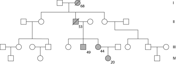 Use the following pedigree (Figure 11.3)  for a family in which dark-shaded symbols represent individuals with one of the two major types of colon cancer. Numbers under the symbols are the individual's age at the time of diagnosis. A slash through the symbol indicates that the individual is deceased.   Figure 11.3 -The affected woman in generation IV is thinking about her future and asks her oncologist (cancer specialist)  whether she can know whether any or all of her children will have a high risk of the same cancer. The doctor would be expected to advise which of the following: (I)  genetic counseling; (II)  prenatal diagnosis when/if she becomes pregnant; (III)  testing to see whether she has the allele; (IV)  testing to see whether her future spouse or partner has the allele? A)  I only B)  II only C)  I, II, and IV only D)  III only E)  III and IV only