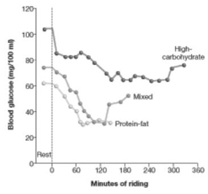   Three groups of cyclists consumed three different types of diets: high-carbohydrate; a diet mixed in carbohydrates, fat, and protein; or a diet higher in protein and fat. The average time each group could spend cycling over a six-hour period is shown in the accompanying graph. What conclusion from the data would help an athlete or trainer improve performance? A)  Endurance is entirely related to diet. B)  Maintaining elevated blood sugar improves performance. C)  An early 50 percent drop in blood glucose is associated with improved endurance. D)  Diet is not at all related to endurance. 