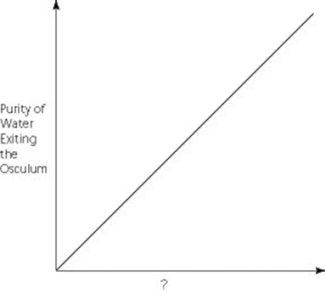   Which of the following factors, when used to label the horizontal axis of the graph, would account most directly for the shape of the plot? A)  rate of cribrostatin synthesis (molecules/unit time)  B)  number of pores per sponge C)  number of spicules per sponge D)  number of choanocytes per sponge 