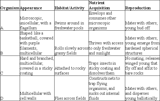<strong>Use the table to answer the following question.   As you are on the way to Tahiti for a vacation, your aeroplane crash lands on a previously undiscovered island. You soon find that the island is teeming with unfamiliar organisms, and you, as a student of biology, decide to survey them (with the aid of the Insta-Lab Portable Laboratory you brought along in your suitcase). You select four organisms and observe them in detail, making the notations found in the figure. In which of the organisms listed would you search for collagen?</strong> A) organism A B) organism B C) organism C D) organism D <div style=padding-top: 35px> 