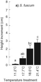 Breeuwer et al. (2008)  measured the effect of different temperature regimes on the growth of different Sphagnum species. The growth of S. fuscum at four temperatures is shown. Use the information in the graph to answer the following question.   Which of the following statements accurately reflects the effect of temperature on the growth of S. fuscum? A)  S. fuscum grows higher at warmer temperatures. B)  S. fuscum grows less at cooler and warmer temperatures than at moderate temperatures. C)  S. fuscum grows less at warmer temperatures. D)  S. fuscum would grow higher at 29°C. 