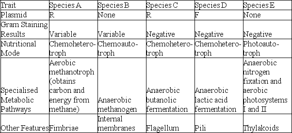 The following table depicts characteristics of five prokaryotic species (A-E) . Use the information in the table to answer the following question.   -Which two species should have much more phospholipid, in the form of bilayers, in their cytoplasms than most other bacteria? A)  species A and B B)  species A and C C)  species B and E D)  species C and D 