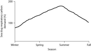 <strong>Use the following information and figure to answer the question. The sea slug Pteraeolidia ianthina (P. ianthina) can harbour living dinoflagellates (photosynthetic protists) in its skin. These endosymbiotic dinoflagellates reproduce quickly enough to maintain their populations. Low populations of the dinoflagellates do not affect the sea slugs very much, but high populations (> 5 x 105 cells/mg of sea slug protein) can promote sea slug survival. Percent of sea slug respiratory carbon demand provided by indwelling dinoflagellates. Which of the following would be a potential disadvantage to the sea slugs of housing the dinoflagellates?</strong> A) The CO₂ produced by the dinoflagellates would poison the sea slug. B) The dinoflagellates would be an energy drain on the sea slug. C) The sea slugs are exposed to predators when they spend time in the sunlit areas needed by the dinoflagellates. D) The dinoflagellates will reduce the ability of the sea slugs to move.