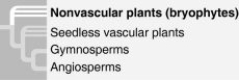   The phylogenetic tree shown ________. A)  depicts uncertainty about whether the bryophytes or the vascular plants evolved first B)  depicts an evolutionary hypothesis C)  includes evolution of convergent characteristics D)  indicates that seeds are a shared ancestral character of all vascular plants 