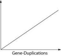 Which of the following items is most likely to form a simple linear relationship with the number of gene-duplication events, when placed as the label on the vertical axis of the following graph?   A)  number of mitochondria B)  number of cells/organism C)  genome size D)  phenotypic complexity