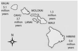 <strong> Soon after the island of Hawaii rose above the sea surface (somewhat less than one million years ago), the evolution of life on this new island should have been most strongly influenced by ________.</strong> A) a genetic bottleneck B) sexual selection C) habitat differentiation D) the founder effect