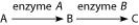 <strong>Use the figure to answer the question.   Refer to the metabolic pathway illustrated. If A, B, and C are all required for growth, a strain mutant for the gene encoding enzyme B would be able to grow on medium supplemented with which of the following nutrient(s)?</strong> A) nutrient A only B) nutrient B only C) nutrient C only D) nutrients A and C <div style=padding-top: 35px> 