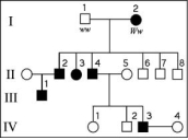 <strong>The following question refers to the pedigree chart in the figure for a family, some of whose members exhibit the dominant trait, W. Affected individuals are indicated by a dark square or circle.   What is the likelihood that the offspring of IV-3 and IV-4 will have the trait?</strong> A) 0% B) 50% C) 75% D) 100% <div style=padding-top: 35px> 