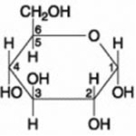   The molecule shown is ________. A)  a hexose B)  a pentose C)  fructose D)  maltose 