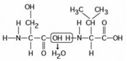   The chemical reaction illustrated ________. A)  is a hydrolysis reaction B)  results in a peptide bond C)  joins two fatty acids together D)  links two polymers to form a monomer 