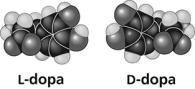   Thalidomide and L-dopa (see figure)  are examples of pharmaceutical drugs that occur as enantiomers, or molecules that ________. A)  have identical three-dimensional shapes B)  are mirror images of one another C)  are mirror images of one another and have the same biological activity D)  are cis-trans isomers 