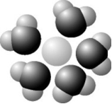   Based on your knowledge of the polarity of water molecules, the solute molecule depicted is most likely ________. A)  positively charged B)  negatively charged C)  without charge D)  nonpolar 