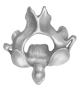   -  This figure illustrates A)  the atlas. B)  the axis. C)  a general cervical vertebrae (C3-C7) . D)  a general thoracic vertebrae. E)  a general lumbar vertebrae.