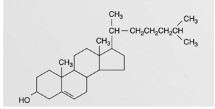   This figure represents an example of a(n)  A)  steroid. B)  triglyceride. C)  phospholipids. D)  wax. E)  fatty acid.