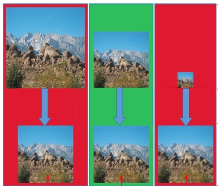 ​ ​    - Referring to the figure above, the bottom-right picture shows the image displayed ____.   A)  larger than its native size B)  smaller than its native size C)  at its native size D)  on an older browser