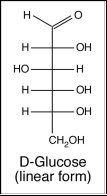 The picture below shows a Fischer projection of D-glucose.    a.Is glucose and aldose or a ketose? b.What is the name of the molecule that is formed upon oxidation of the aldehyde to a carboxyl group? c.Draw a Fischer projection of D-galactose, which is an epimer of glucose with respect to the C4 position. d.Draw a Haworth projection of  \beta -D-glucopyranose. e.What is the name of the linear polymer in which glucopyranose residues are linked to each other through  \beta (1→4)glycosidic bonds. 