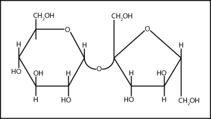  The drawing below shows the structure of the disaccharide sucrose.    a.What are the names of the two monosaccharides that form sucrose? b.Draw squares around the carbons that determine the designation D or L for each of the monosaccharides. c.Draw circles around the anomeric carbon atoms on the drawing. d.Indicate on the drawing for each of the anomeric carbon atoms whether they are in the  \alpha  or the  \beta  configuration. e.Is sucrose a reducing sugar? Explain your answer in one sentence. 