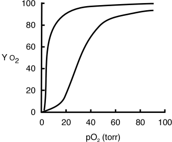 The graph below shows the O<sub>2</sub>-binding curves for myoglobin (Mb)and hemoglobin (Hb). a.Label the two curves (indicate which one represents Mb and which one represents Hb).   b.Use the graph to determine the K<sub>d</sub> of myoglobin for O<sub>2</sub> (show your approach). c.What is the difference between myoglobin and hemoglobin that cause the O<sub>2</sub>-binding curves to so be different? d.Why is it important that hemoglobin has these particular O<sub>2</sub>-binding characteristics?