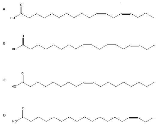  Which of the structures below is an example of an  \omega -3 polyunsaturated fatty acid?   A) Structure A B) Structure B C) Structure C D) Structure D E) None of the above 