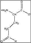 The pictured compound, glutamate-5-semialdehyde, is an intermediate in the biosynthesis of which of the following amino acids?   A) histidine B) arginine C) methionine D) threonine E) More than one of the above is made from this intermediate.