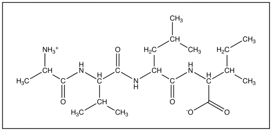 The diagram below shows   A) an amino acid. B) a dipeptide. C) a tripeptide. D) a tetrapeptide. E) a polypeptide.
