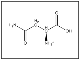 For the following questions  refer to the diagram below   -What is the three-letter symbol for the amino acid shown above? A) Ala B) Asn C) Gln D) Asp E) Glu