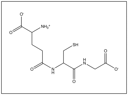 Questions are based on the diagram below.   -Residues 1 and 2 in the peptide shown above are connected through a A) hydrogen bond. B) an isopeptide bond. C) an ester linkage. D) disulfide bond. E) a glycosidic bond.