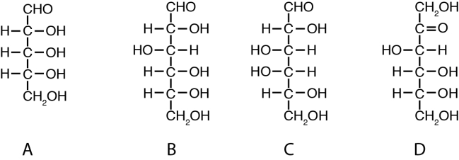   -Which of the structures shown in the figure above is galactose? A) A B) B C) C D) D E) None of the above