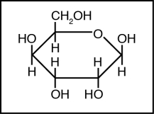  The structure below shows  \beta -D-gulopyranose.   Which of the structures below represents a Fischer projection of D-gulose?  A)    B)    C)    D)    E)    
