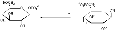 Which statement is TRUE concerning the metabolic reaction shown below?   A) The enzyme that catalyzes this reaction is called a mutase. B) The enzyme that catalyzes this reaction is called a kinase. C) This reaction requires the free energy of ATP hydrolysis. D) This reaction requires multiple steps catalyzed by a phosphorylase and a mutase. E) The oxidation level of glucose-1-phosphate is higher than that of glucose-6-phosphate.
