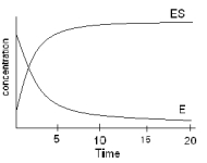 The following data were collected under conditions indicated in the graph below during the time period of 0-5 seconds.Upon plotting the Lineweaver-Burk plot,the information given in the table below was determined.Based on this available information which of the following is FALSE? X-intercept - 0.002 (Units on the x-axis are 1/M)  Y-intercept 0.005 (Units on the y-axis are 1/s)  Slope 2.50   A) The V<sub>max</sub> equals 200 M/s B) The Ks equals 500 M C) The k<sub>app </sub>equals 200 per second D) The data was collected prior to reaching steady state. E) The k<sub>cat</sub><sub> </sub> cannot be determined for this information.