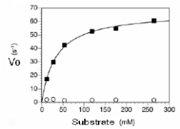 In the plot below,can the K<sub>M</sub> be determined? If so,what is its value?   A) Yes,it is 30 mM. B) Yes,it is 30 mM/sec. C) Yes,it is 60 mM/sec D) Yes,it is 60 mM E) No this data does not follow Michaelis-Menten kinetics
